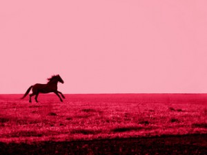 Цветът на годината на Pantone, Viva Magenta за 2023 година Цветът на годината на Pantone, Viva Magenta за 2023 година