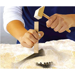 Разкопки Т-Рекс SES Разкопки Т-Рекс SES